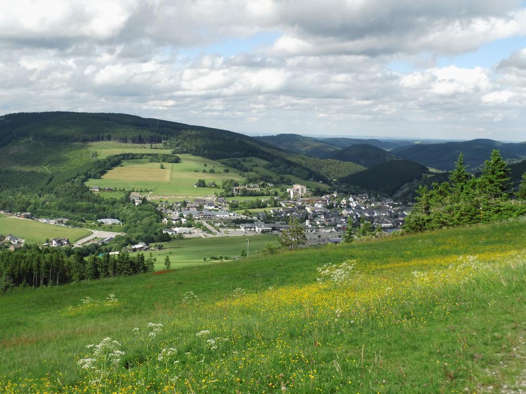 Ferienwohnung Zum Ritzhagen Willingen  Eksteriør billede